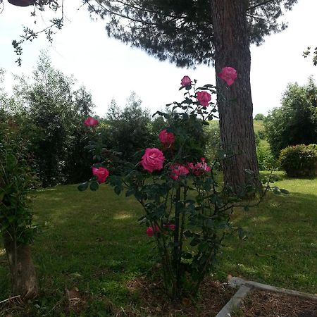 La Finestra Sul Cortile Panzió Pomezia Kültér fotó